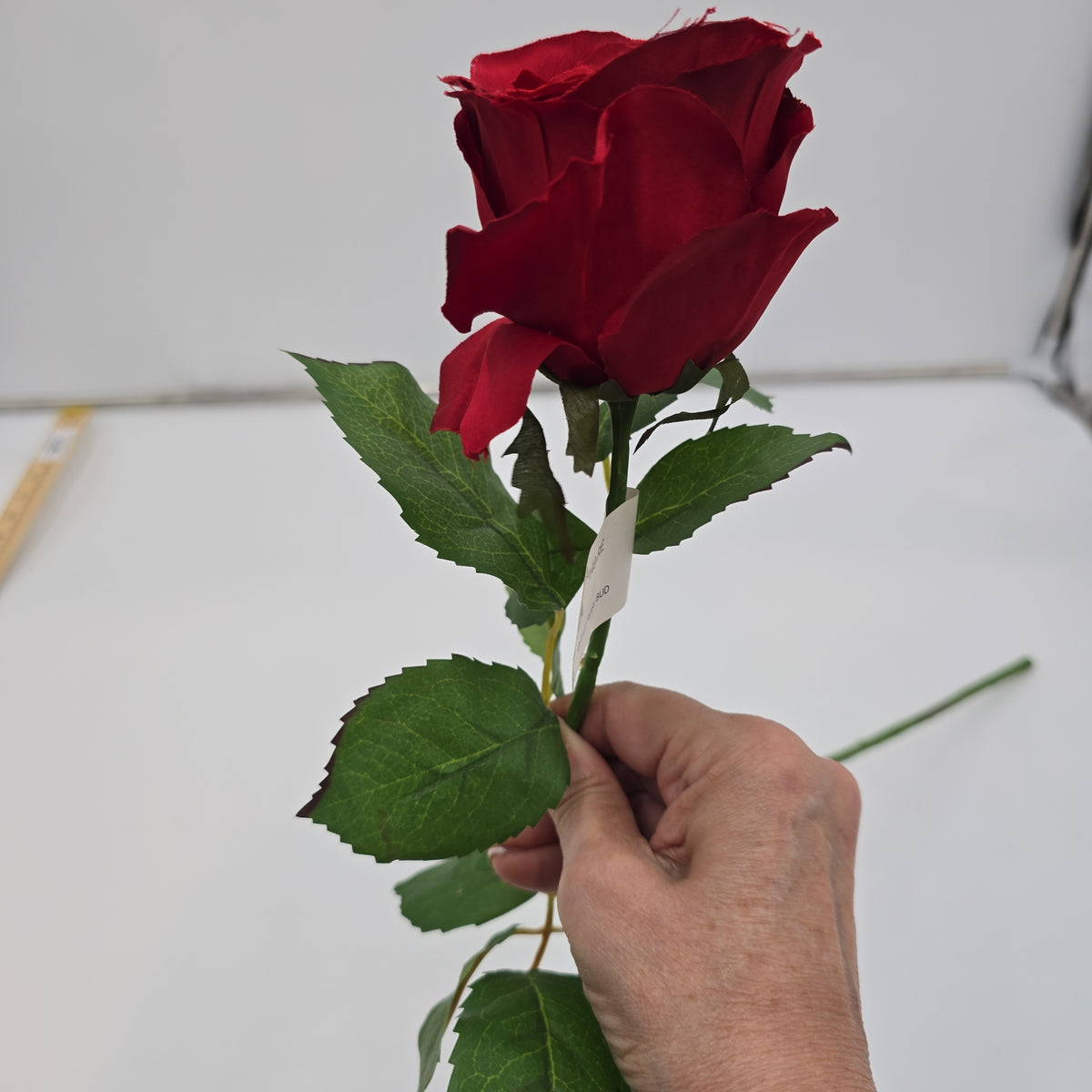 Cottage Rose Bud--#fsr149