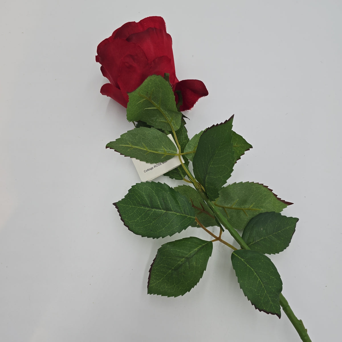 Cottage Rose Bud--#fsr149
