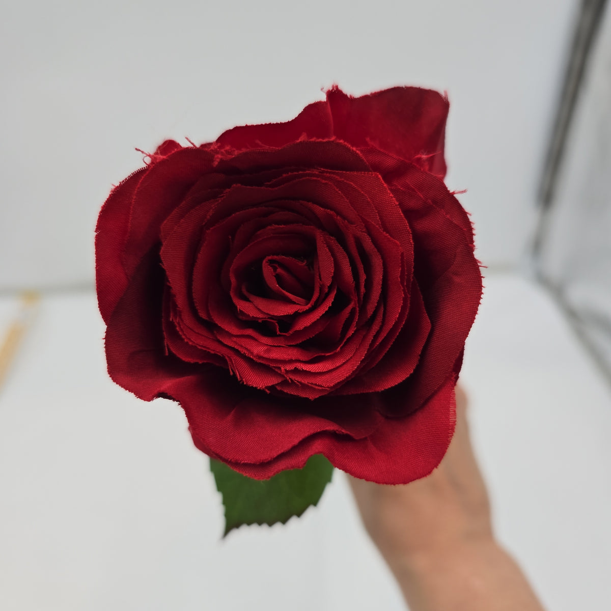Cottage Rose Bud--#fsr149