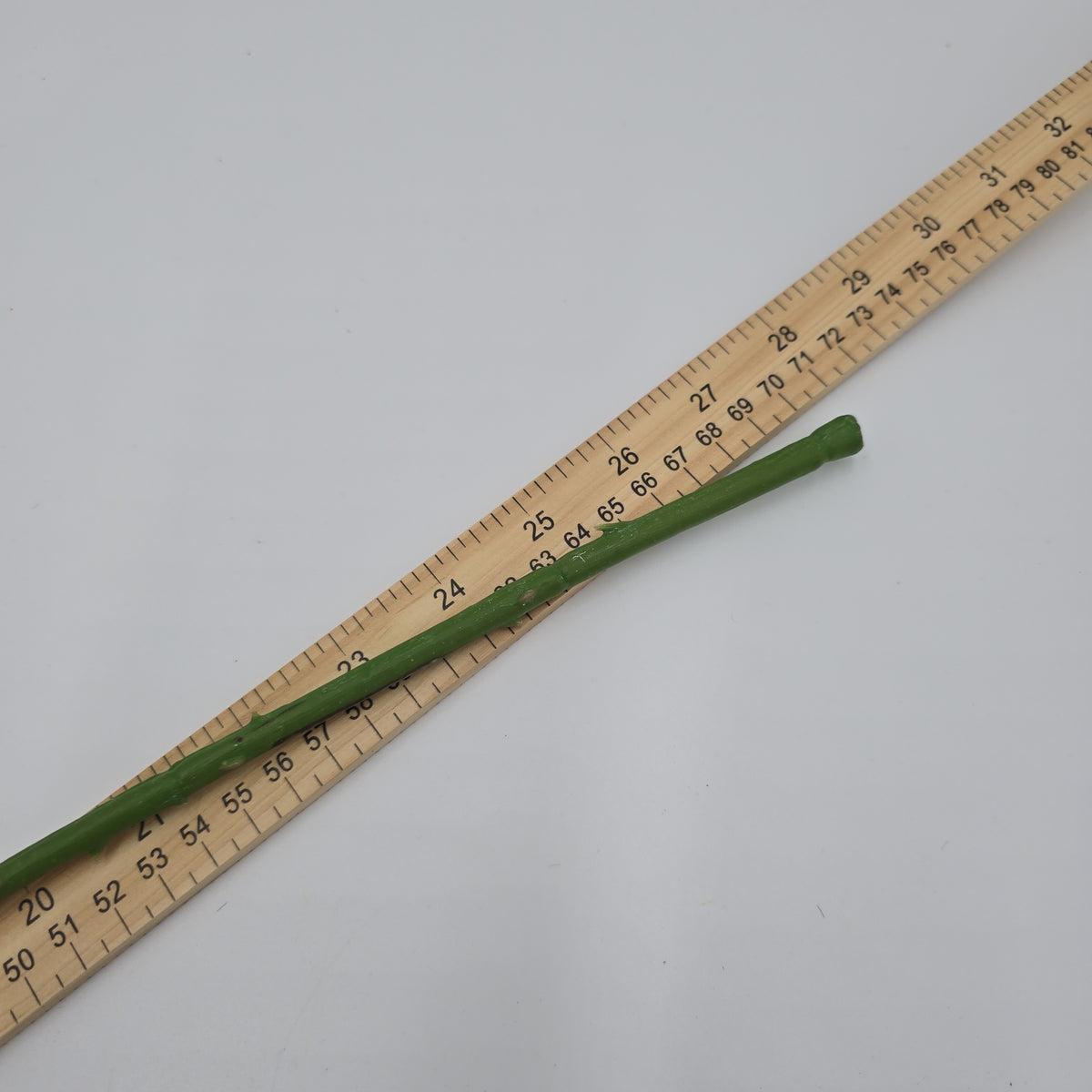 Cottage Rose Bud--#fsr149