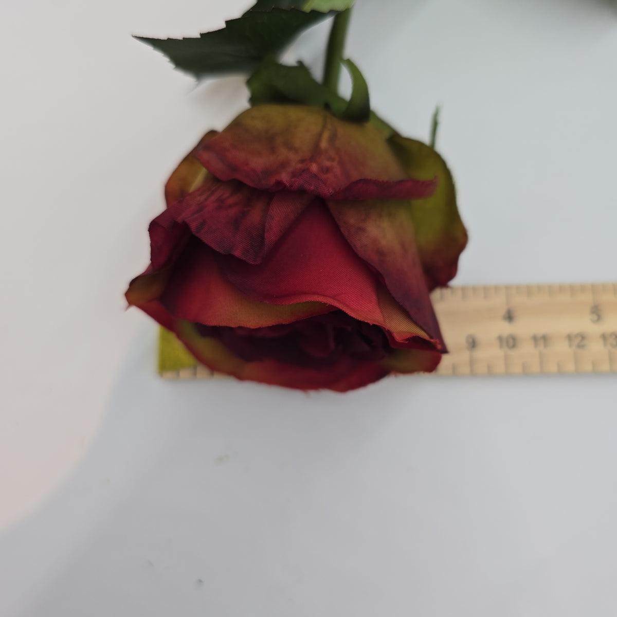 Rose Bud--#fsr540