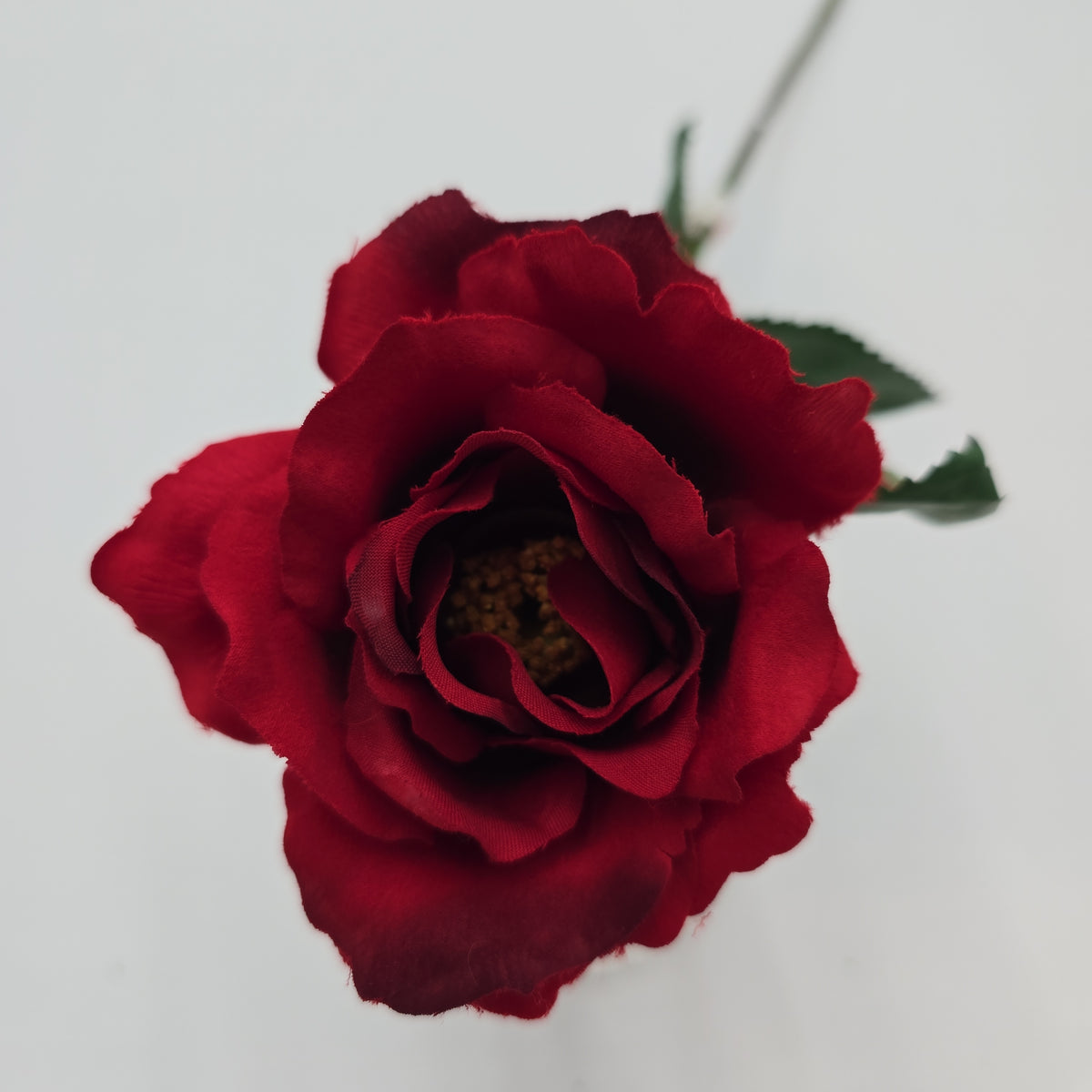 23&quot;MD ROSE--fr2007