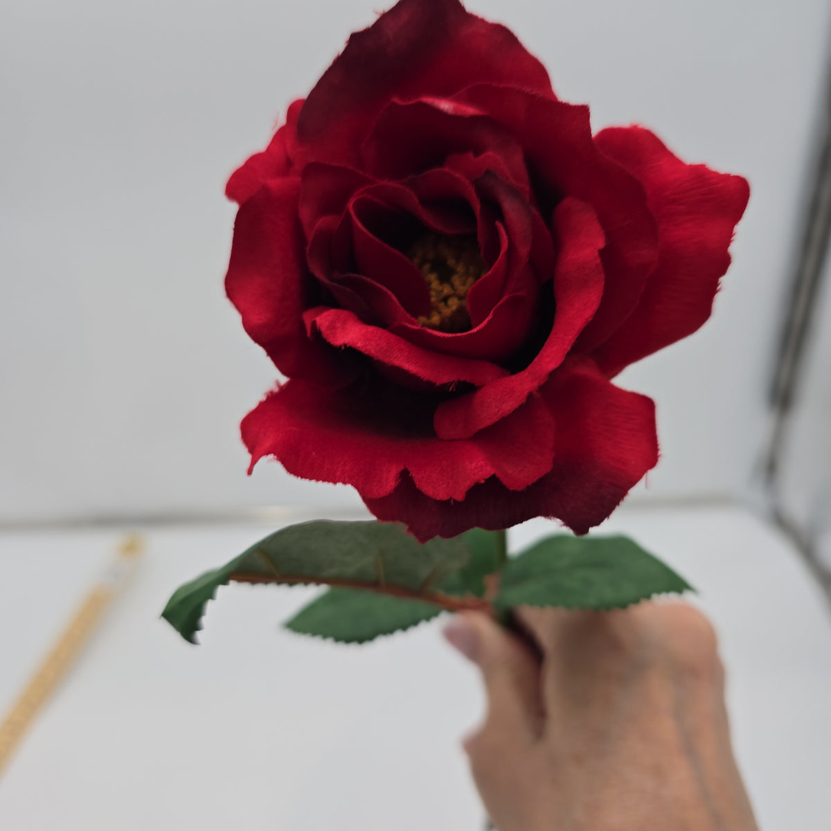 23&quot;MD ROSE--fr2007