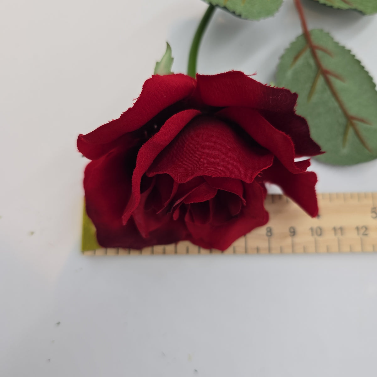 23&quot;MD ROSE--fr2007