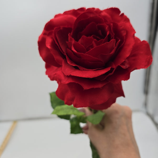 1716682516463_600x.jpg?v=