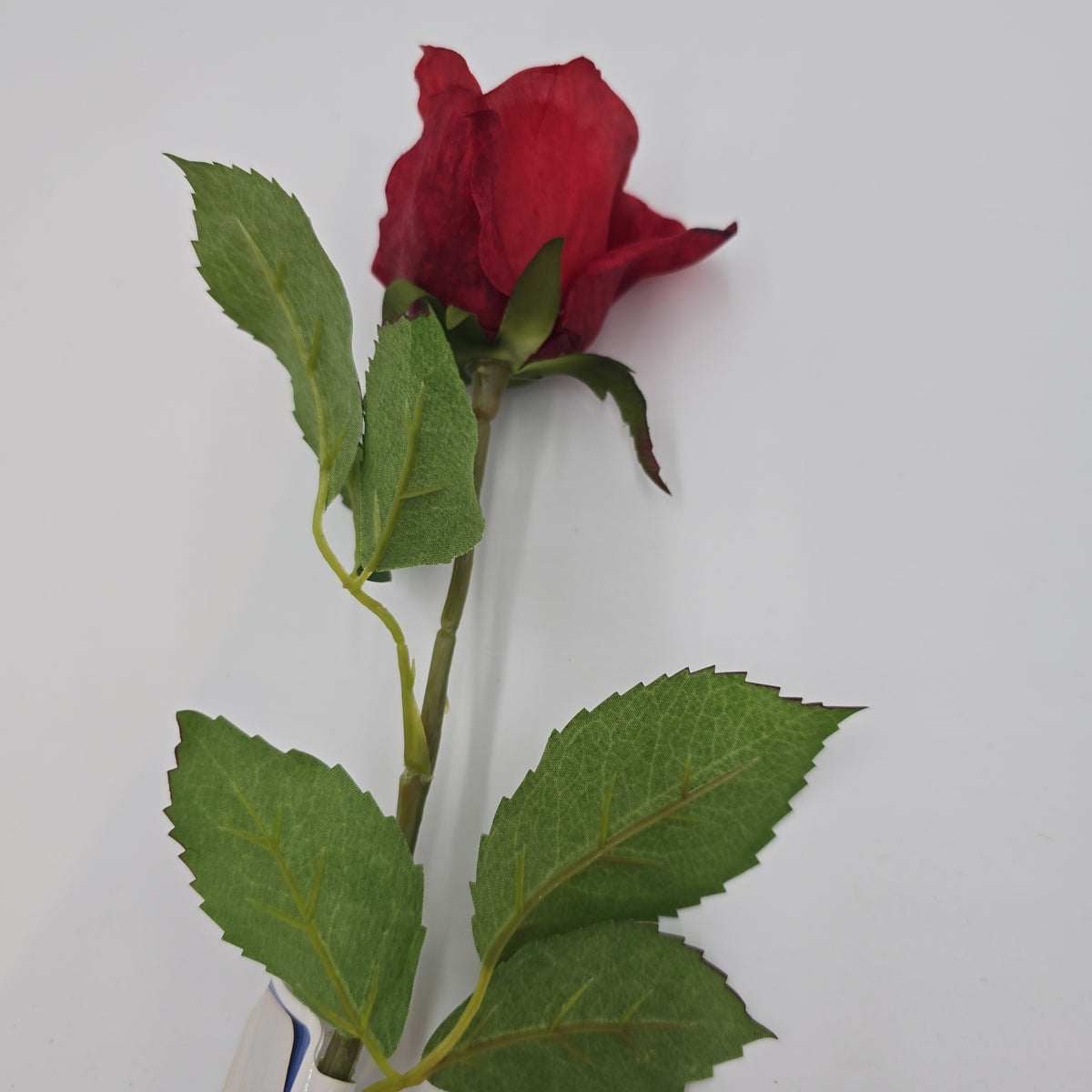 Rose Bud--#fsr075