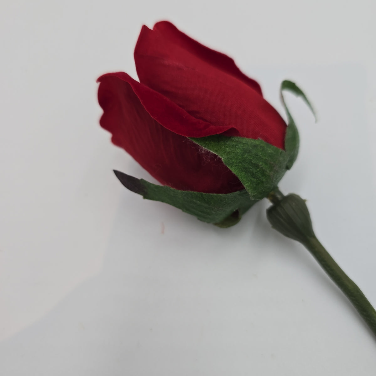 Rose Bud--#sss9559