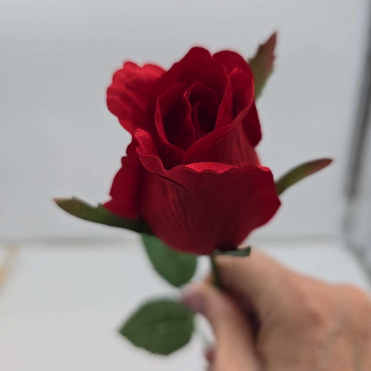 23.5&quot; Rose Bud --#fsr307