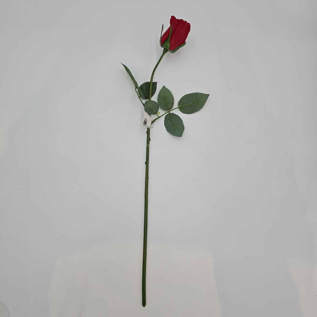 23.5&quot; Rose Bud --#fsr307