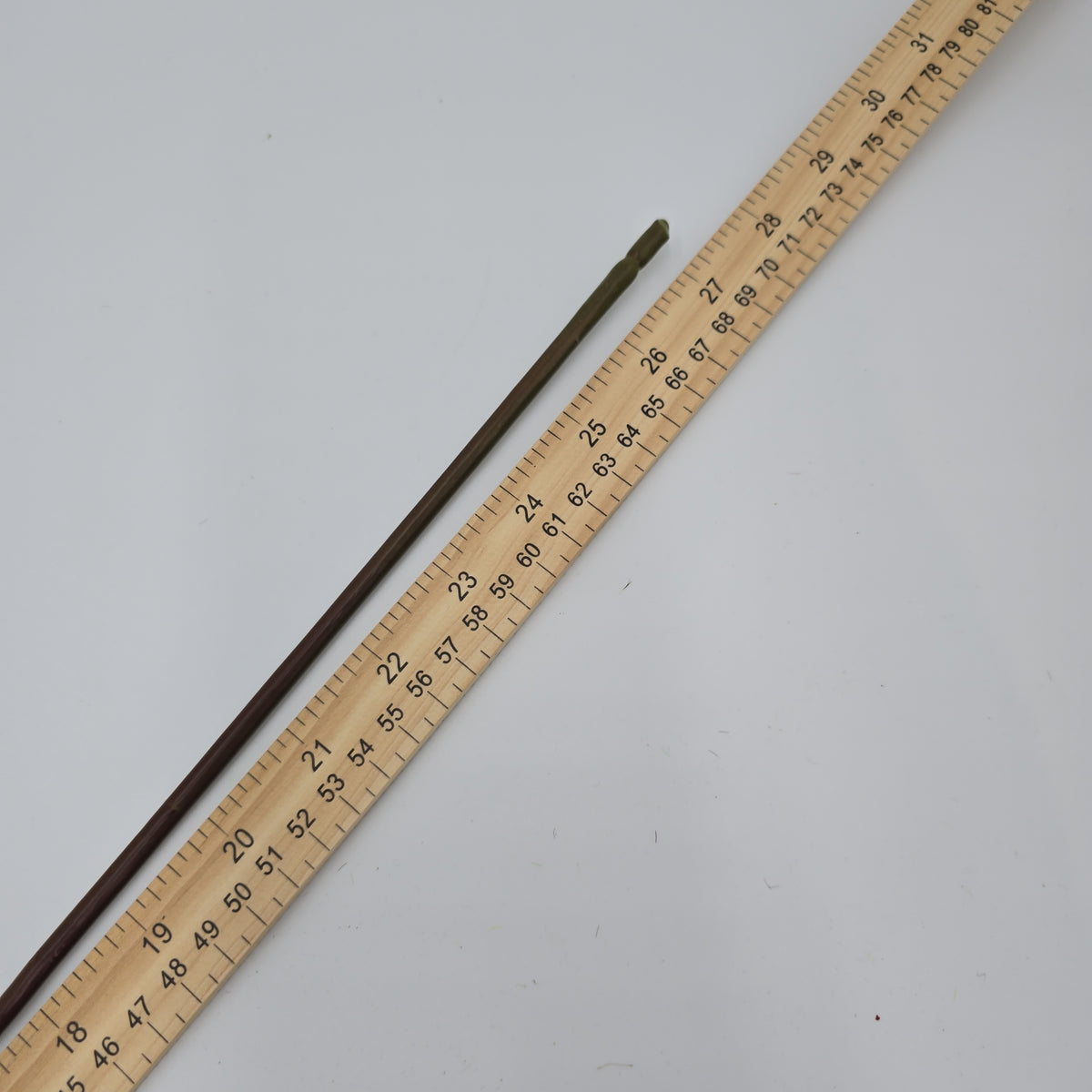 27&quot;RT CAROLINE ROSE--gtr284