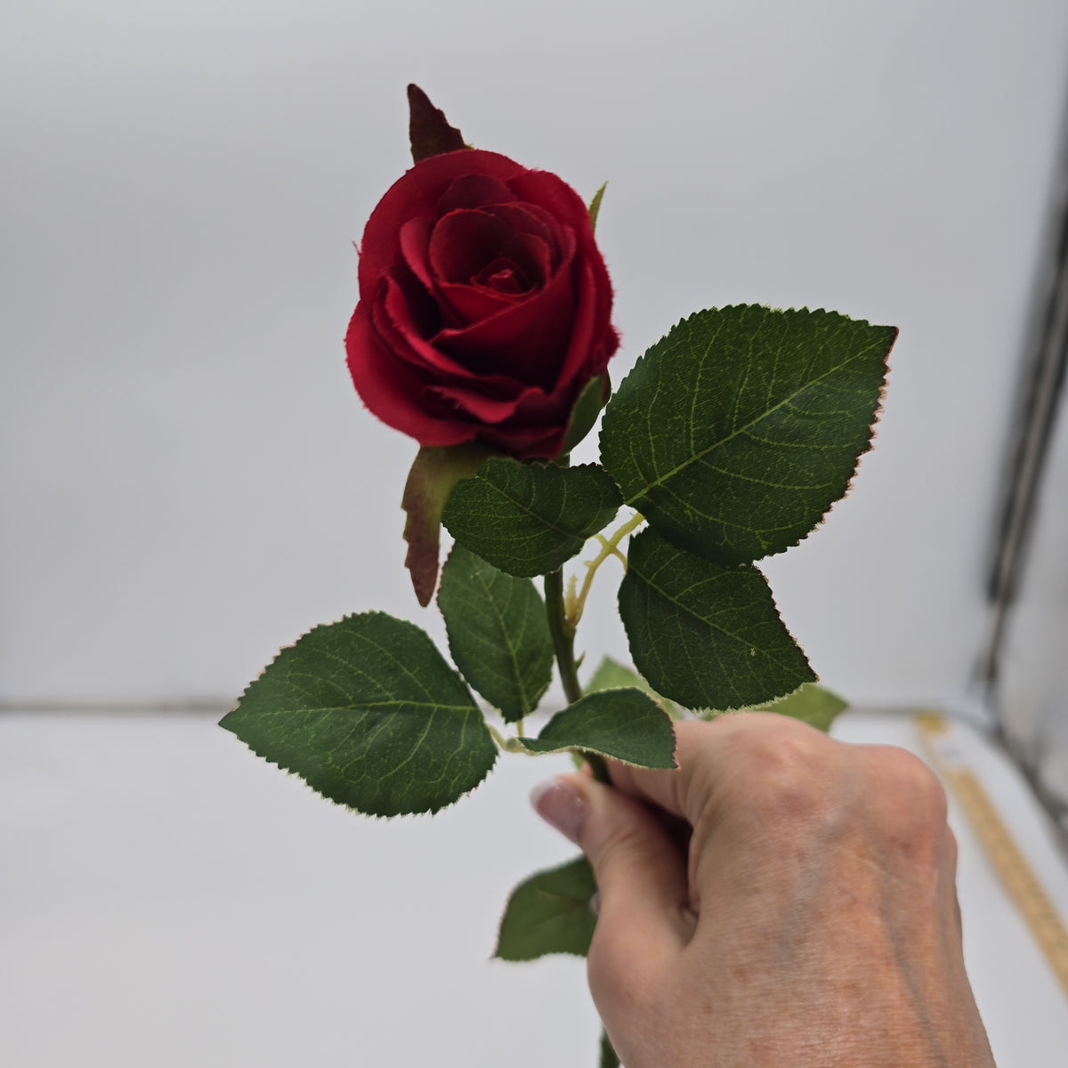 Sm Confettie Rose Bud--#gtr452