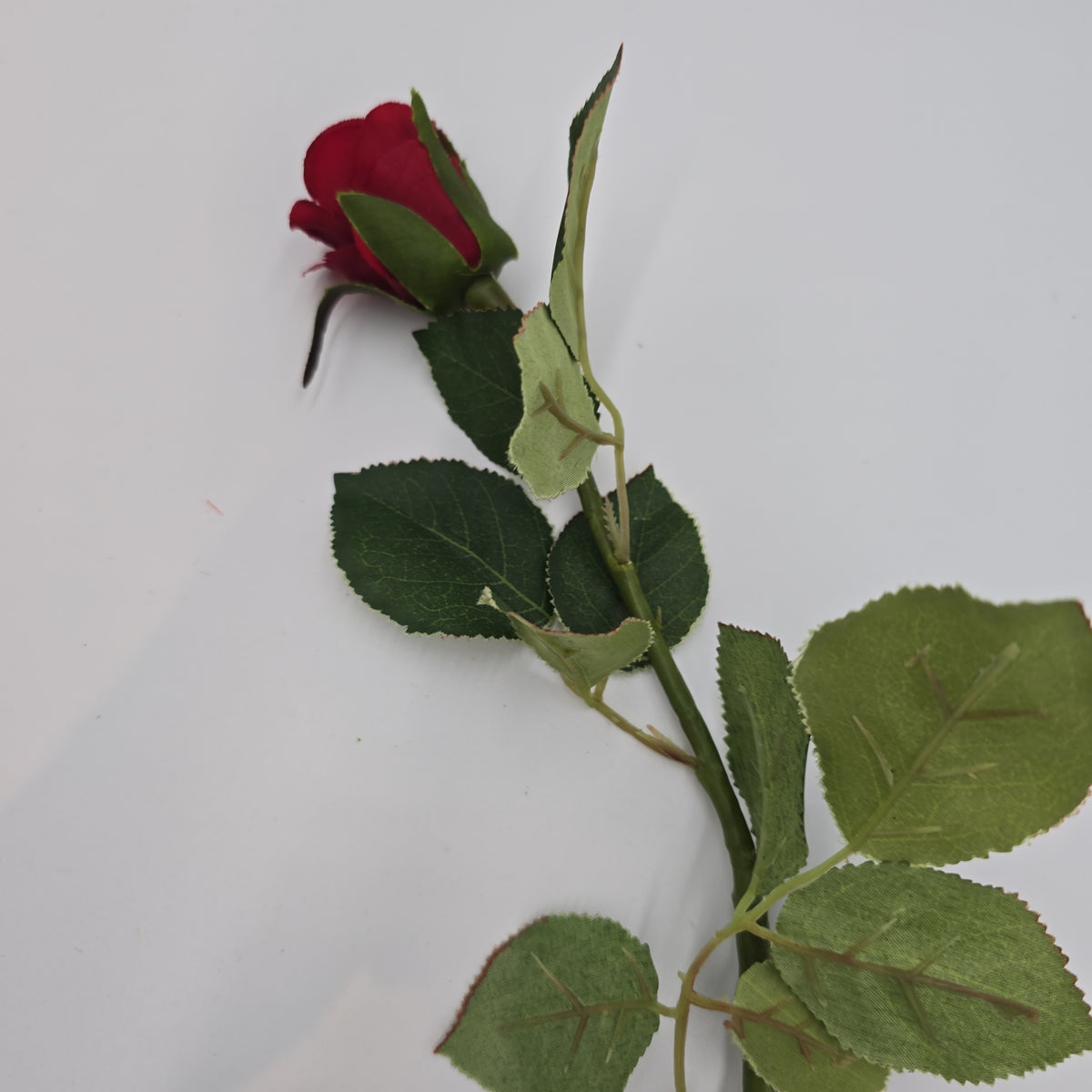 Sm Confettie Rose Bud--#gtr452
