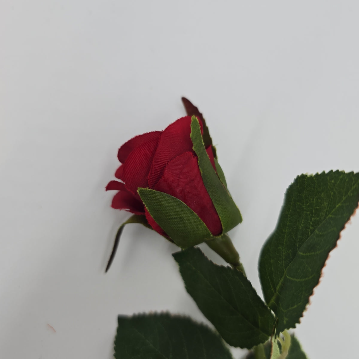 Sm Confettie Rose Bud--#gtr452