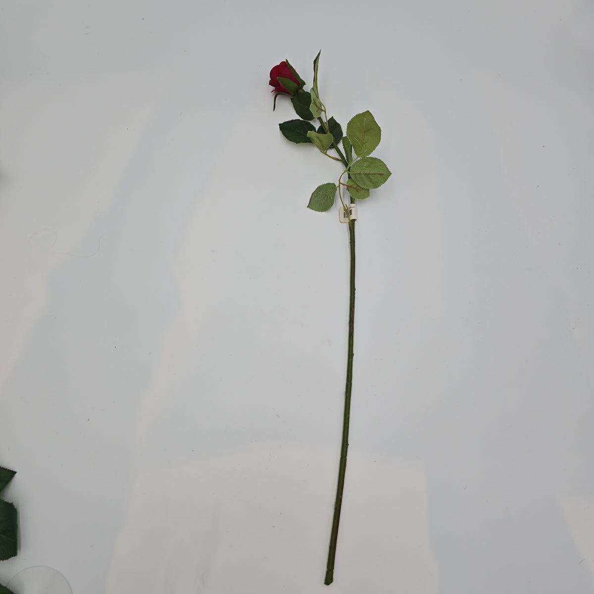 Sm Confettie Rose Bud--#gtr452