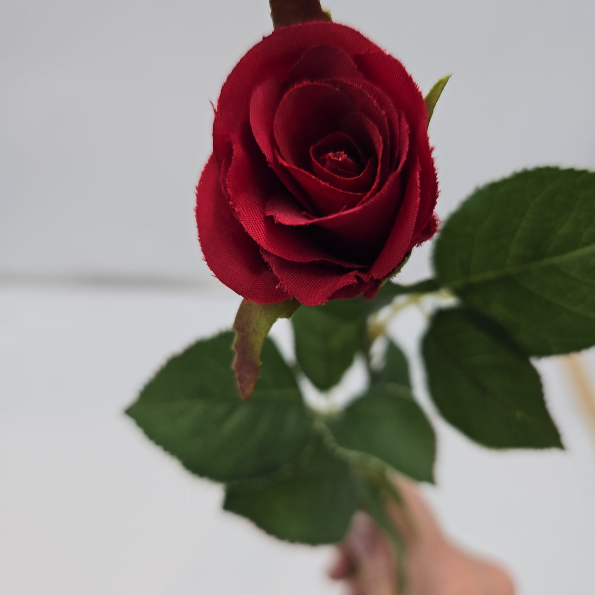 Sm Confettie Rose Bud--#gtr452