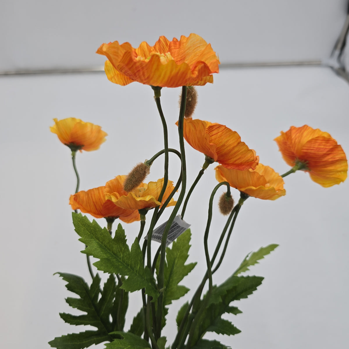 15&quot;POPPY--fbp279