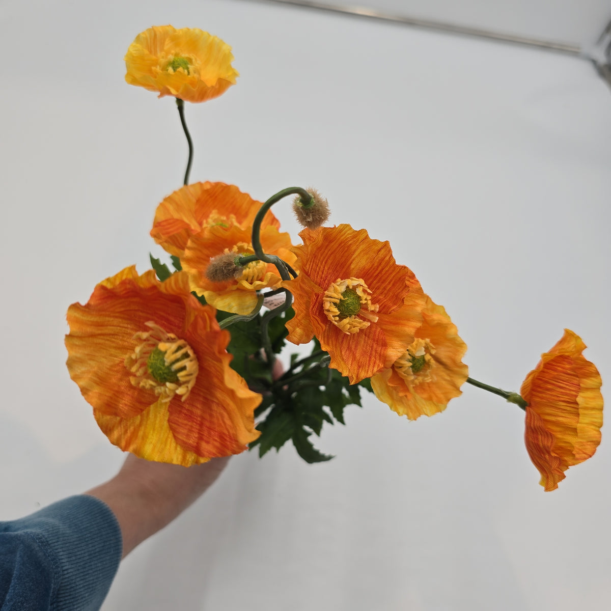 15&quot;POPPY--fbp279