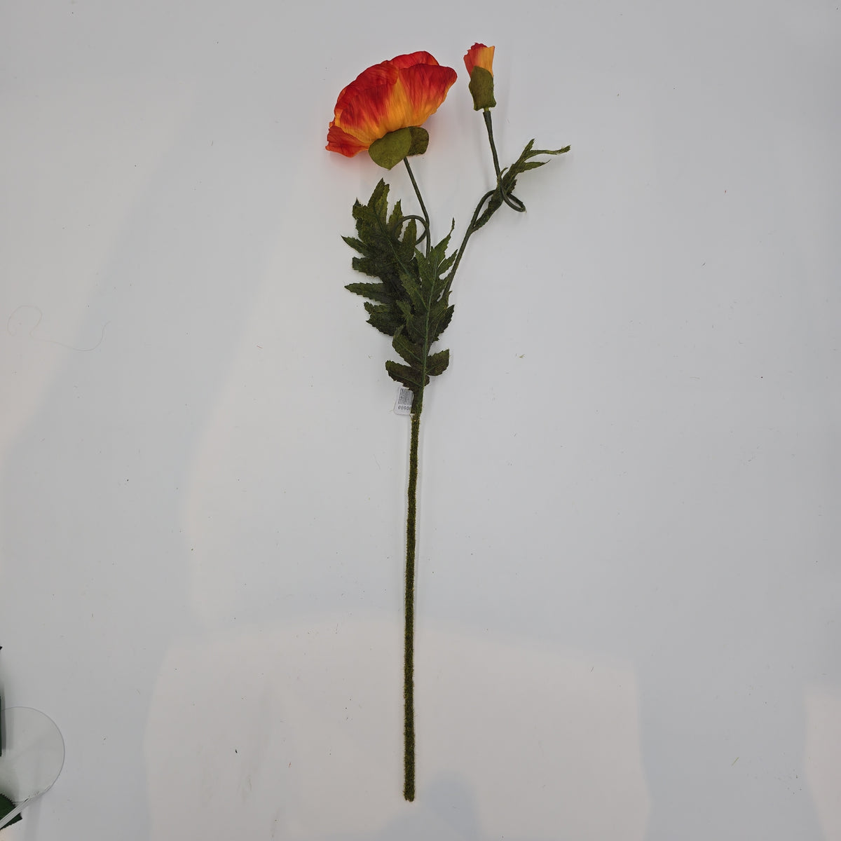 28&quot;POPPY--gtp103