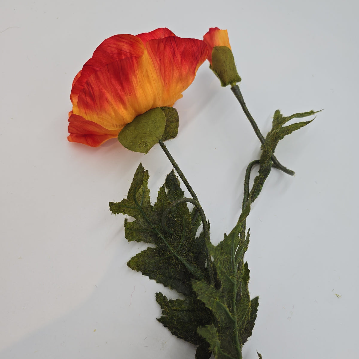 28&quot;POPPY--gtp103