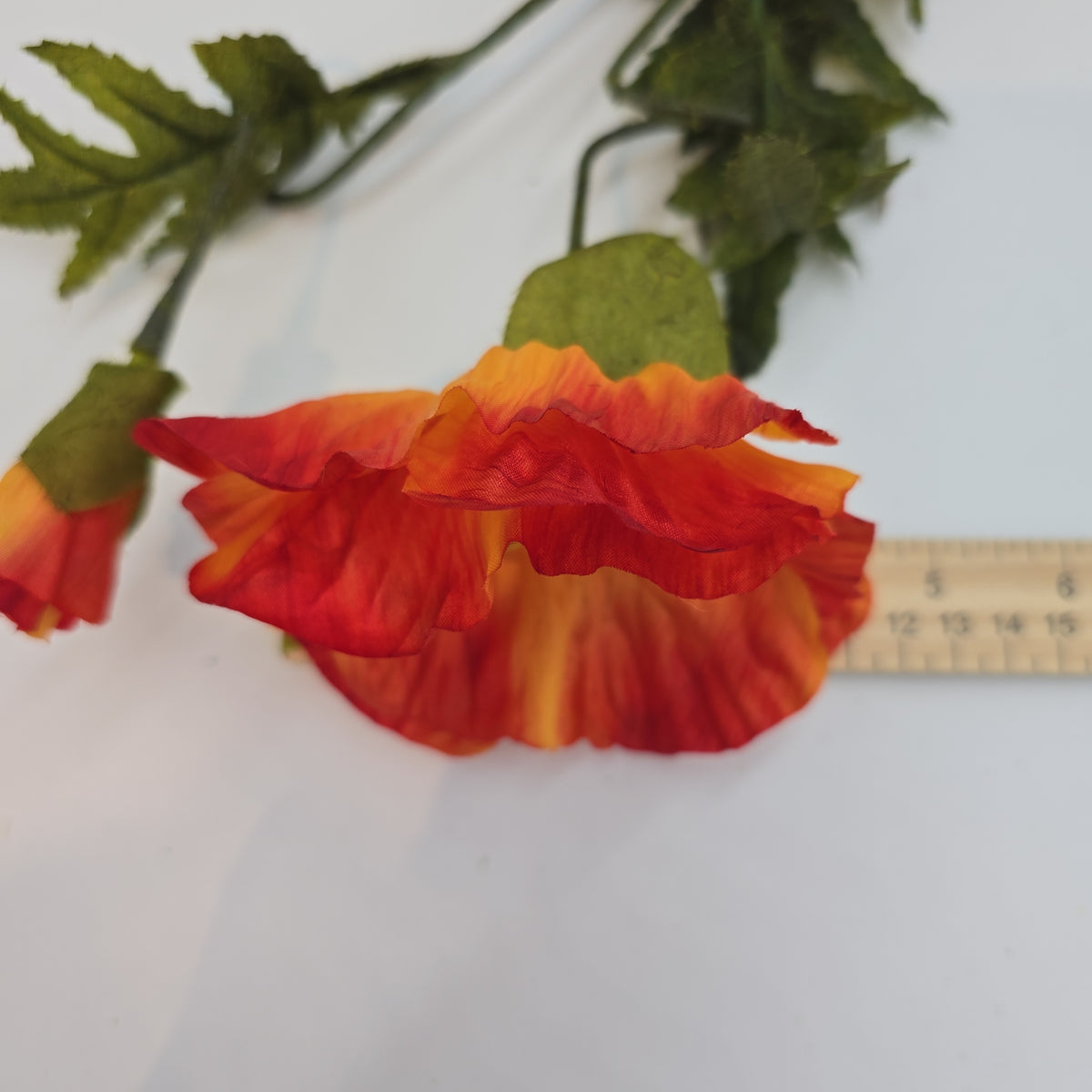 28&quot;POPPY--gtp103