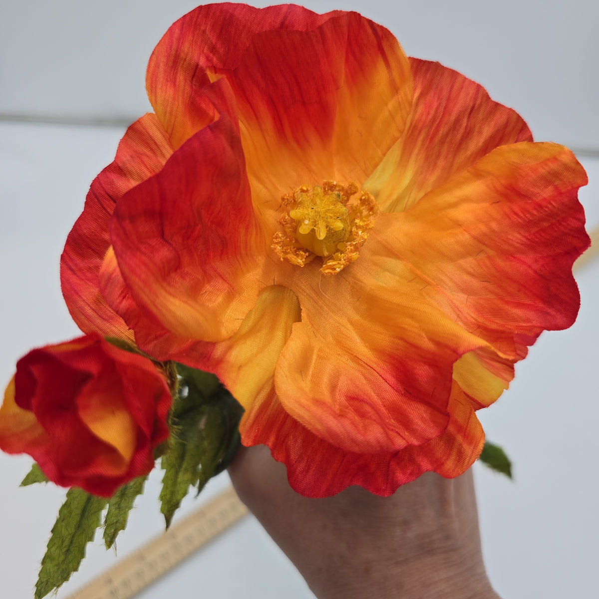 28&quot;POPPY--gtp103