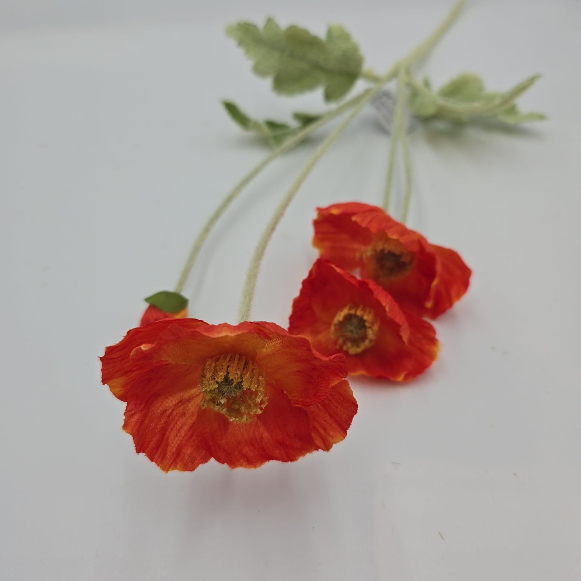 23.6"POPPY--#fsp304-fl