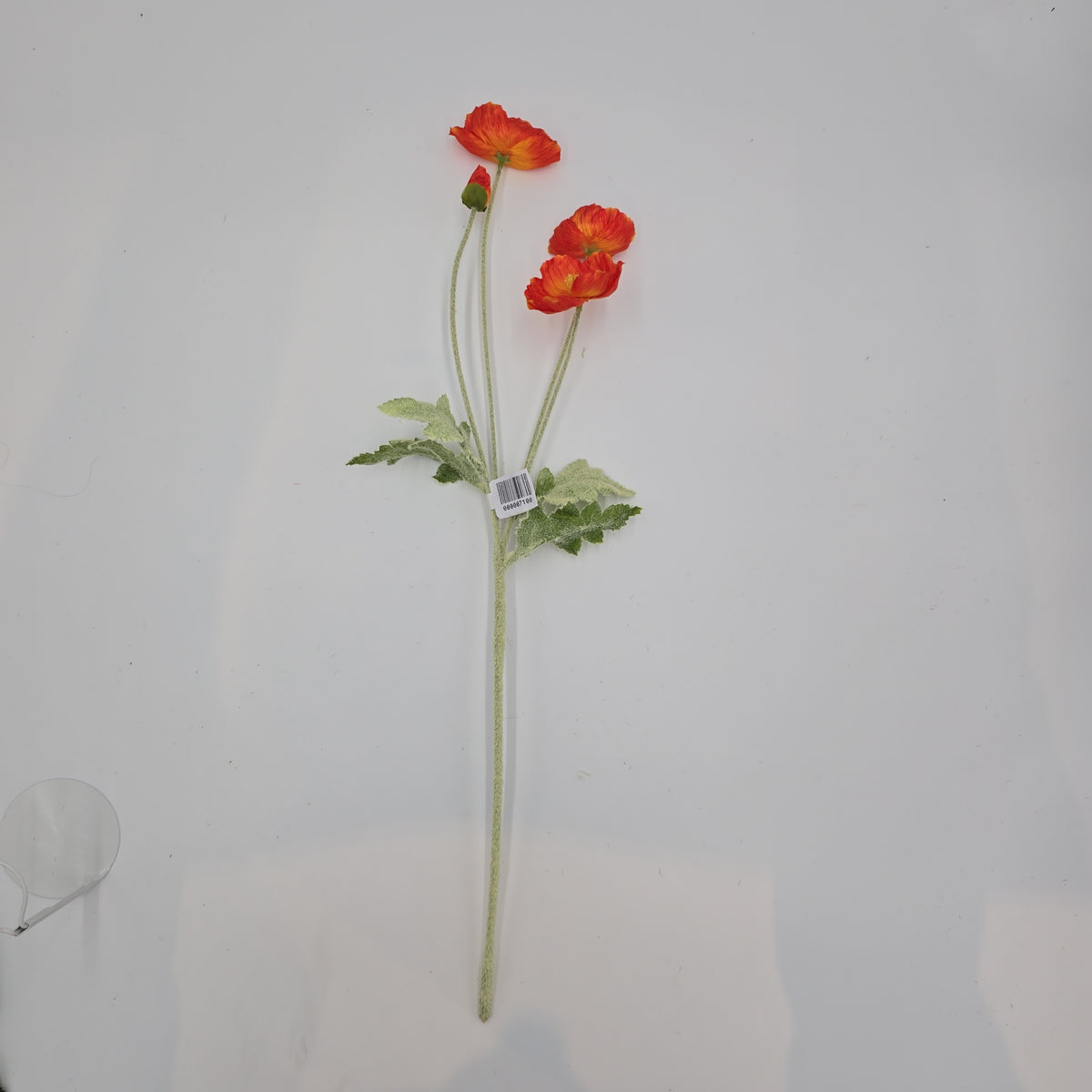 23.6&quot;POPPY--#fsp304-fl