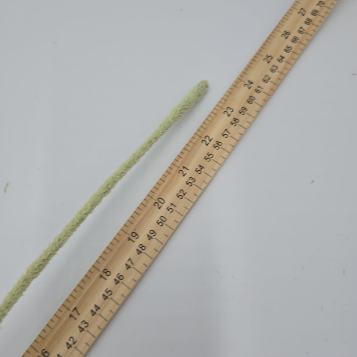 23.6&quot;POPPY--#fsp304-fl