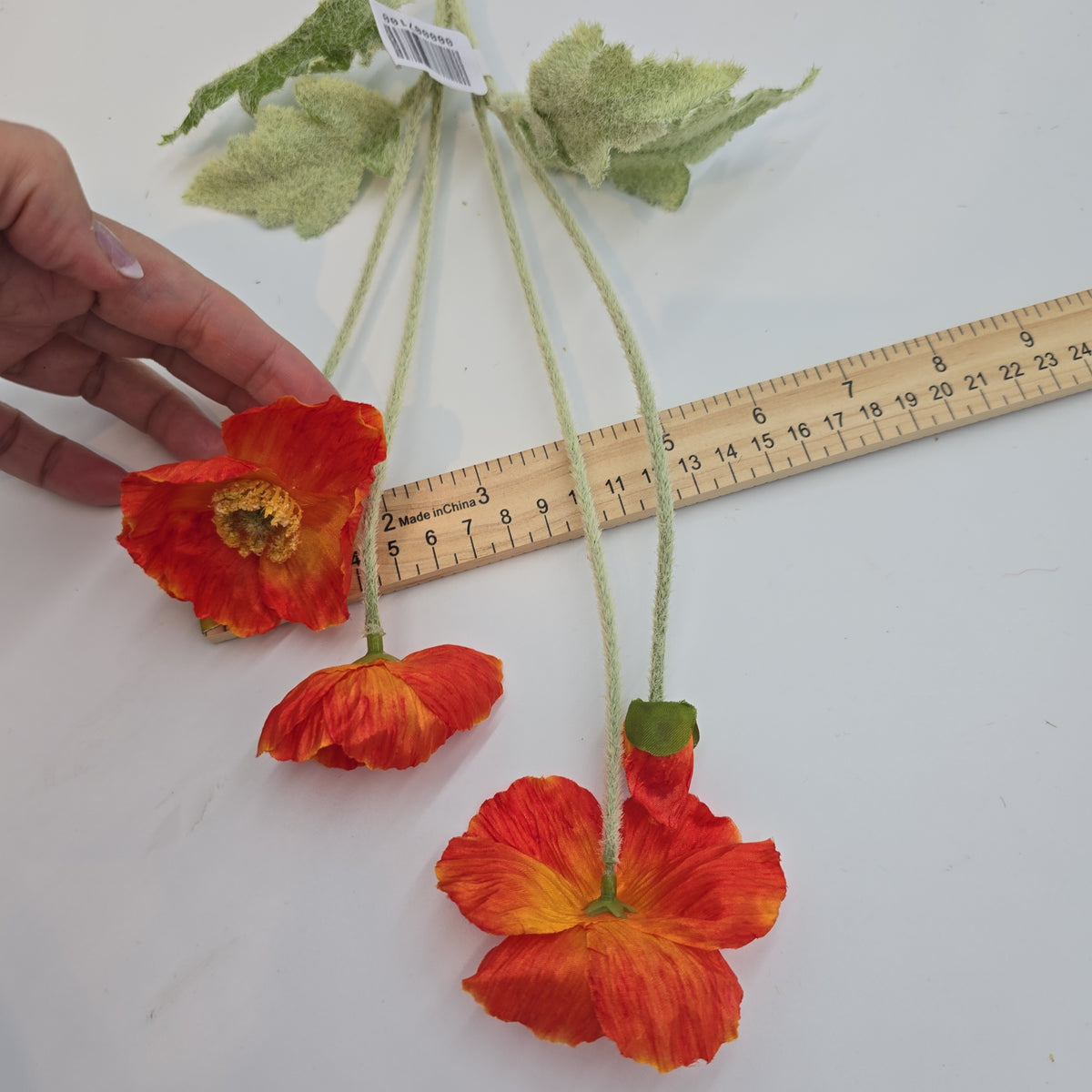 23.6&quot;POPPY--#fsp304-fl