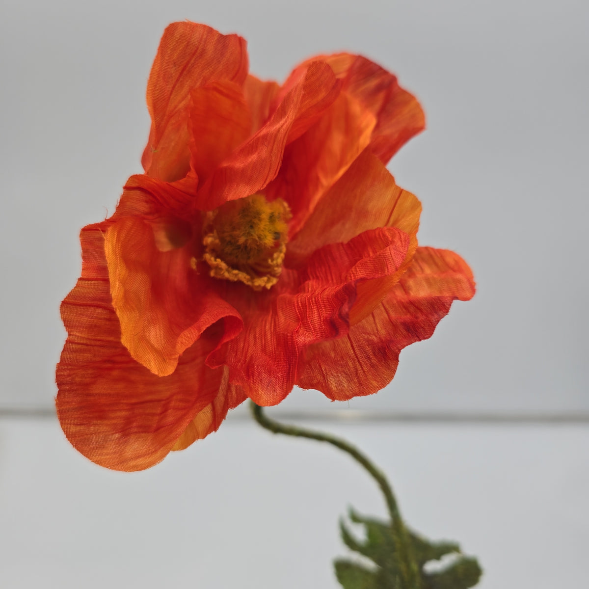 23&quot; Poppy--#hsp475