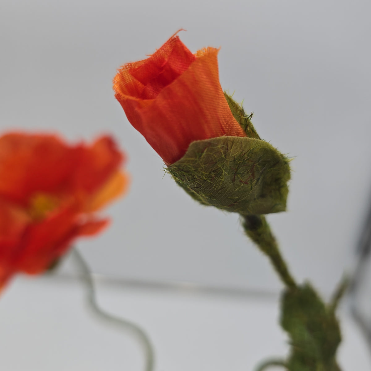 23&quot; Poppy--#hsp475