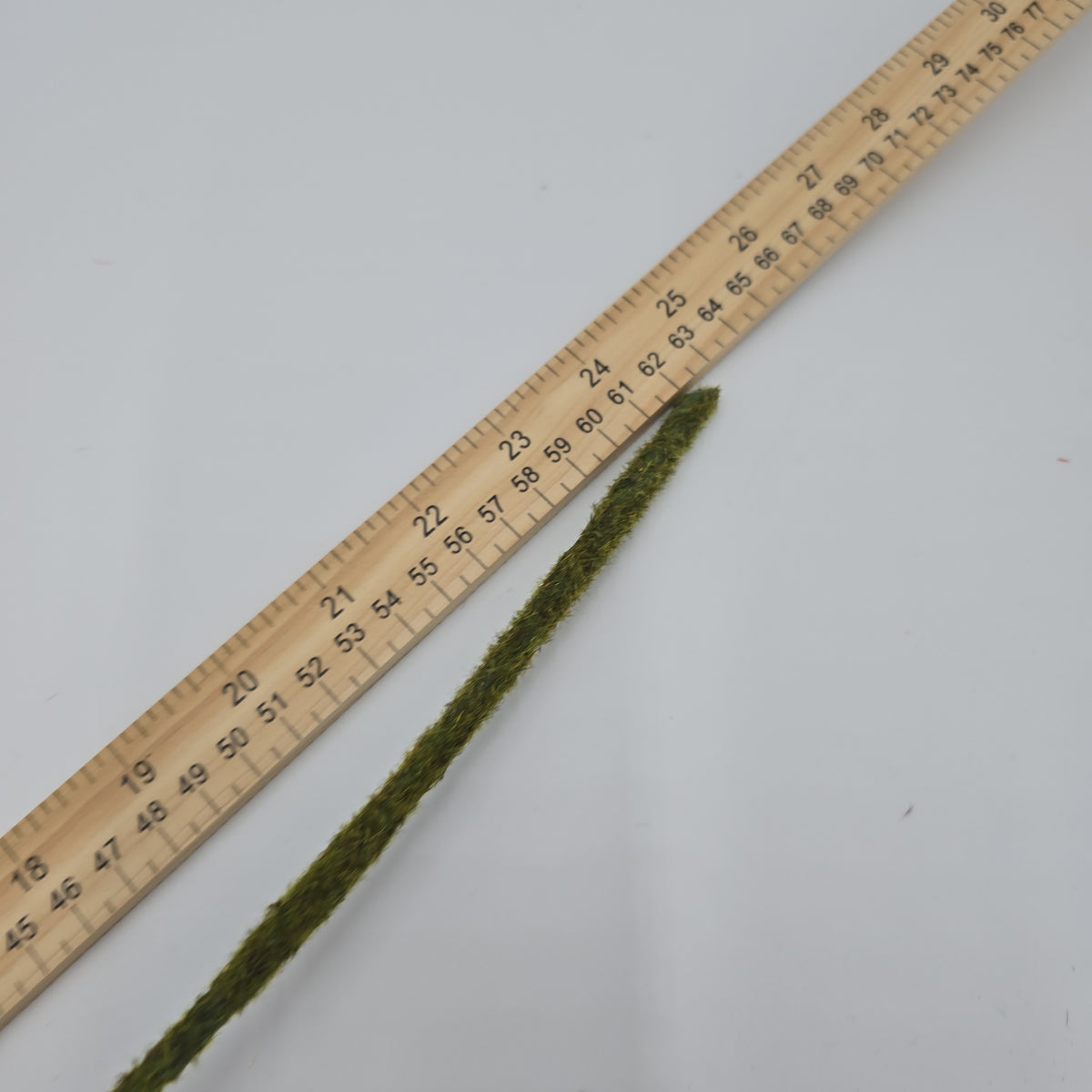 23&quot; Poppy--#hsp475