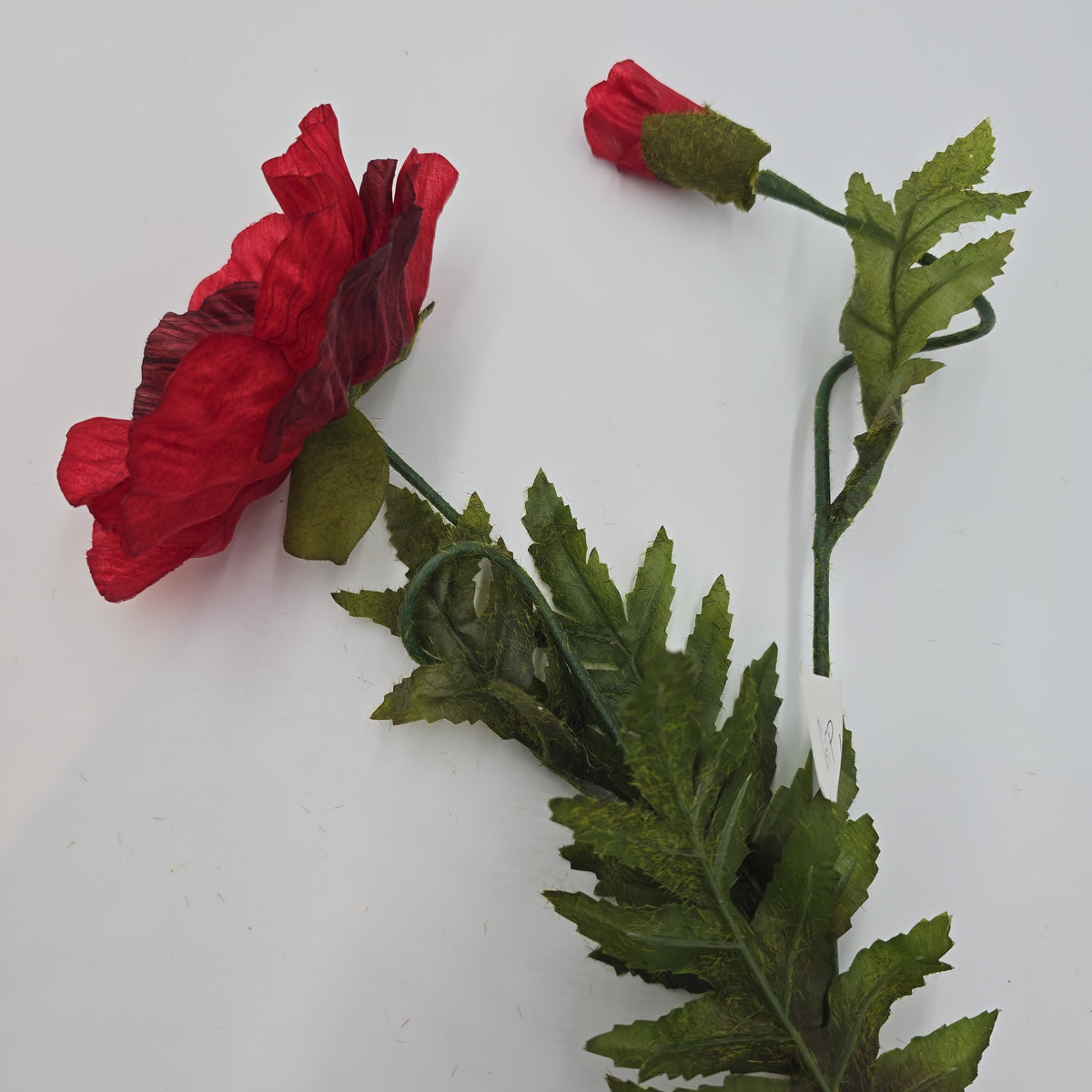 28&quot;POPPY--gtp103