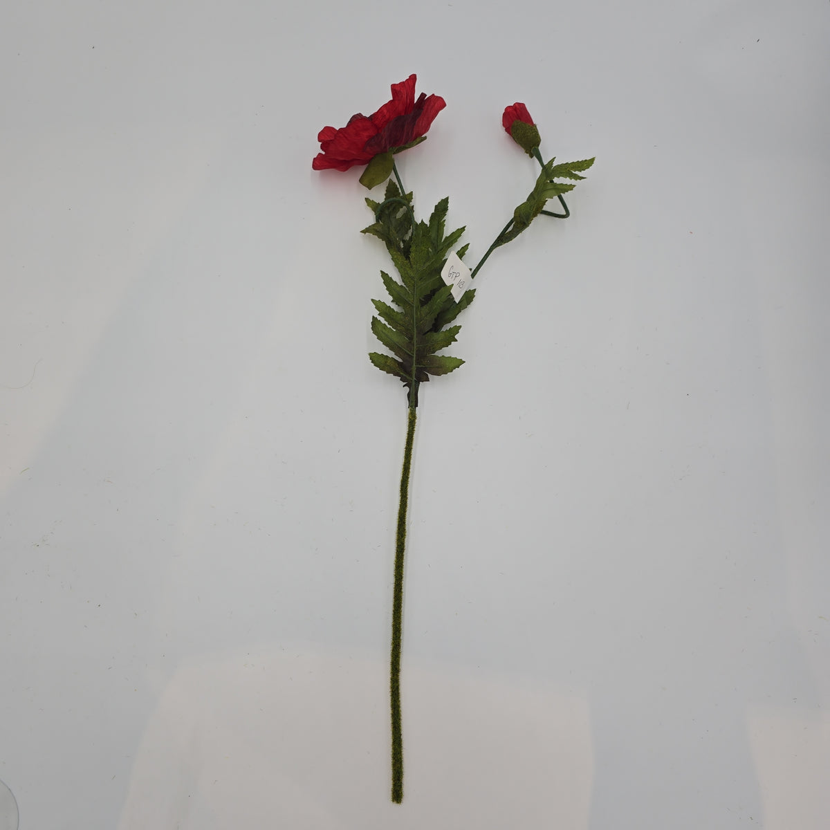 28&quot;POPPY--gtp103