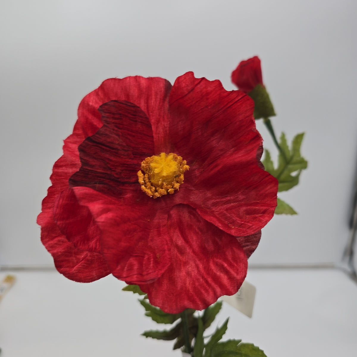 28&quot;POPPY--gtp103