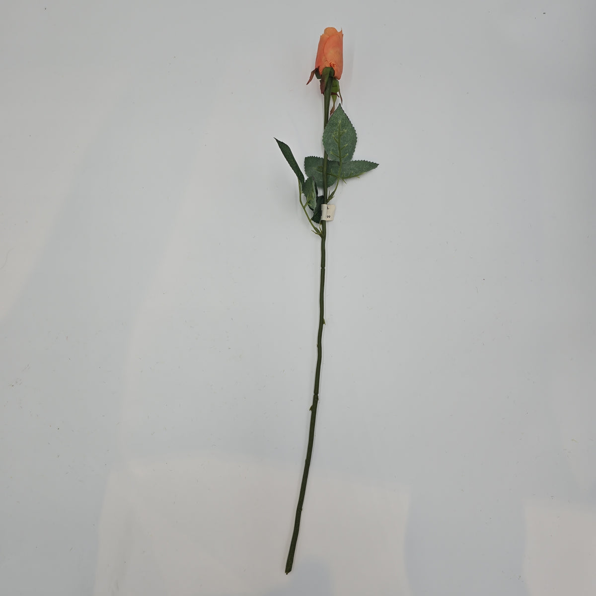 Rose Bud--#sel1006