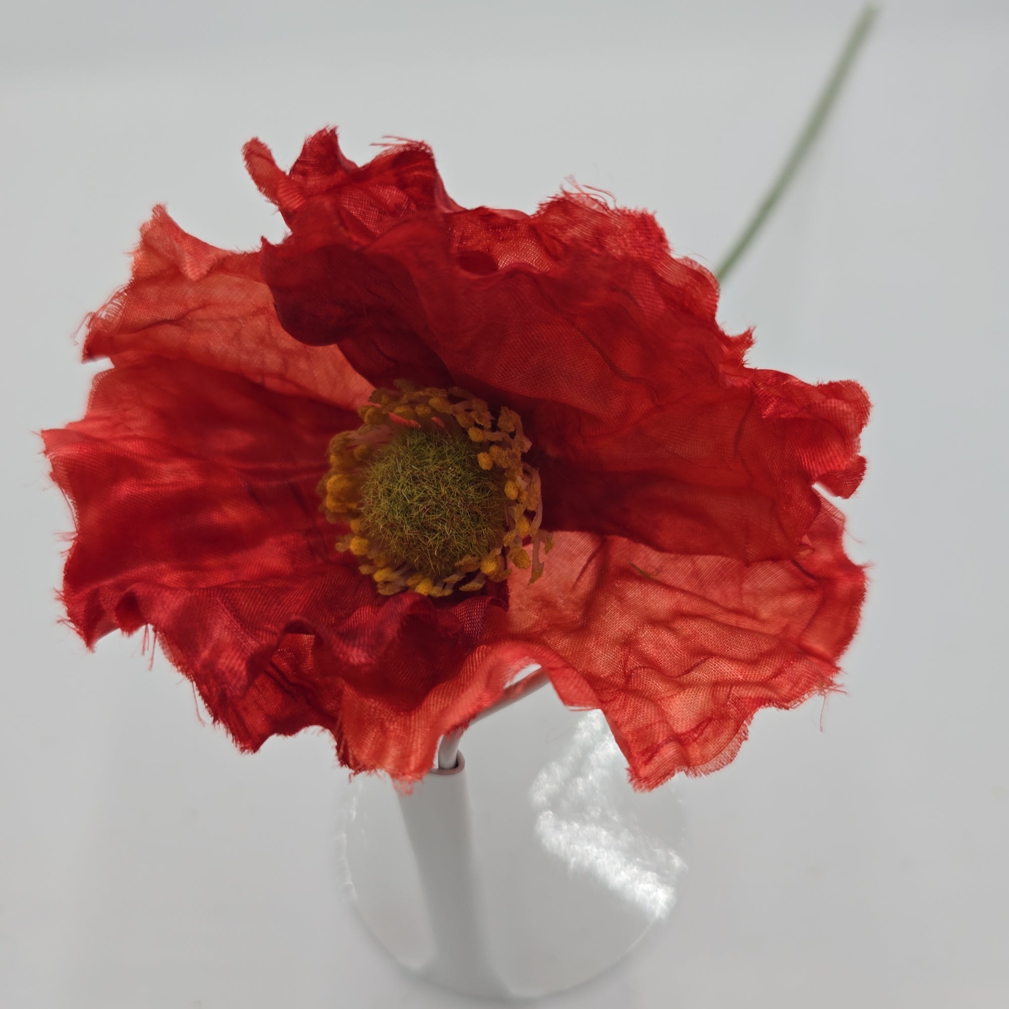 Poppy--#06005