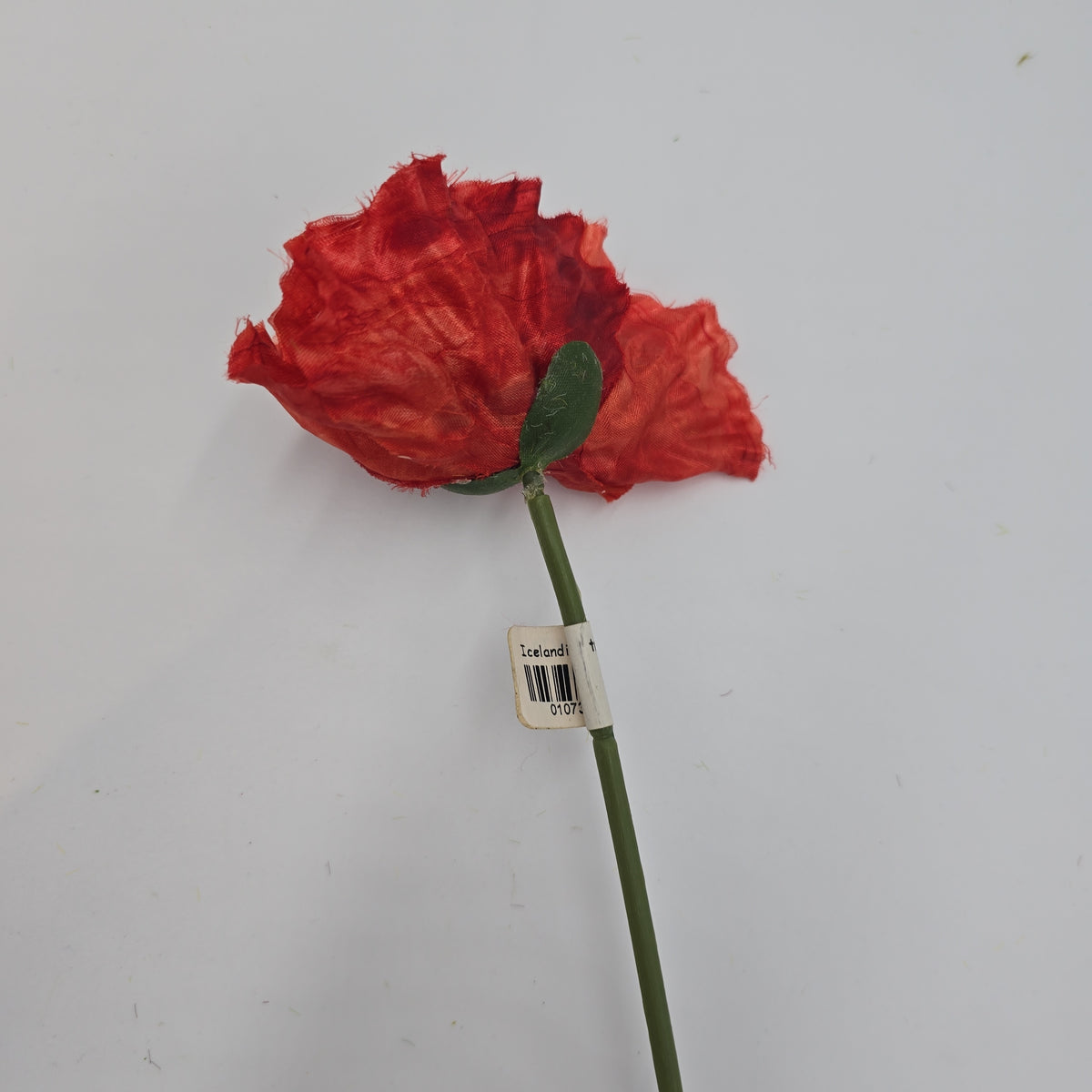 Poppy--#06005