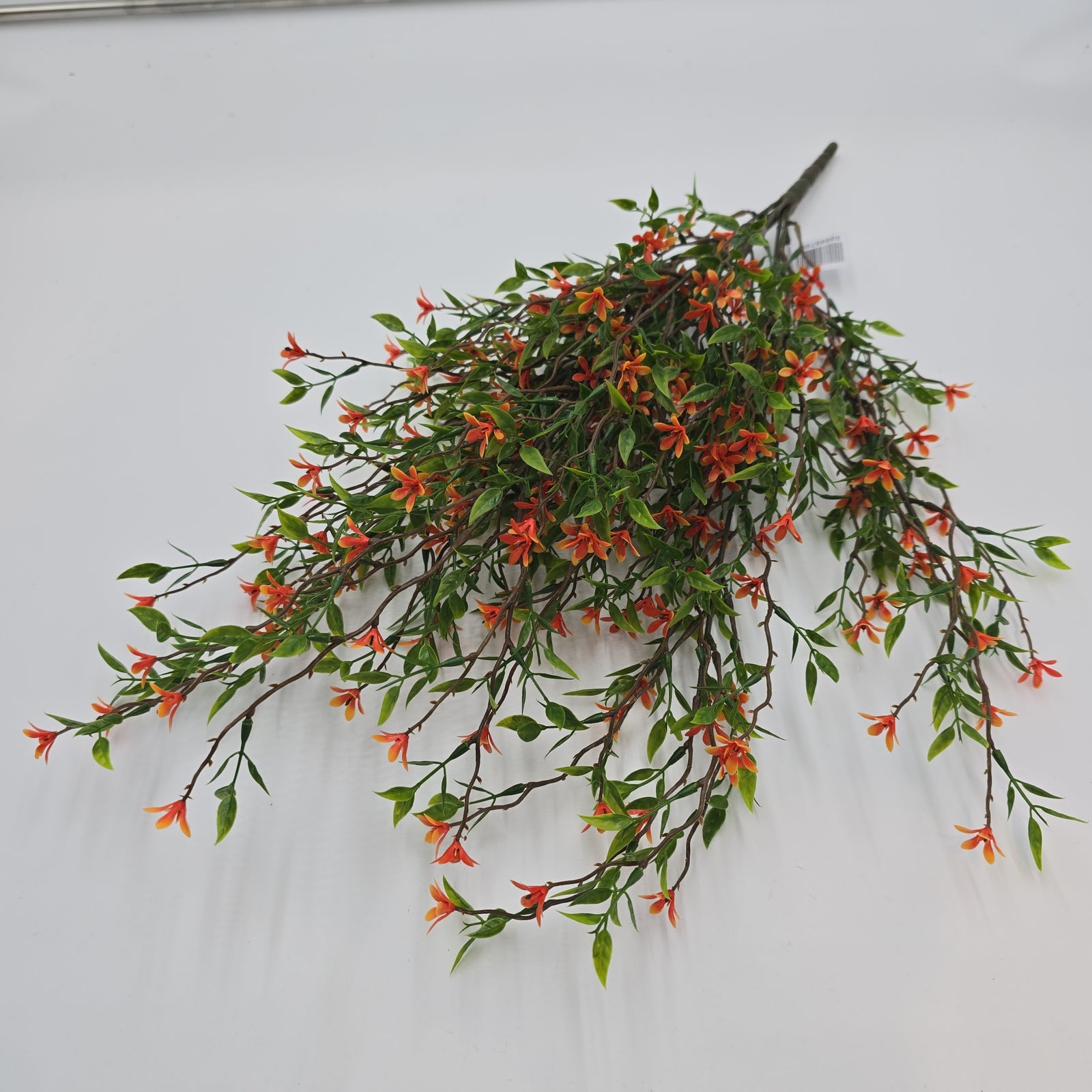 20"Starflower Bush--#fbs130