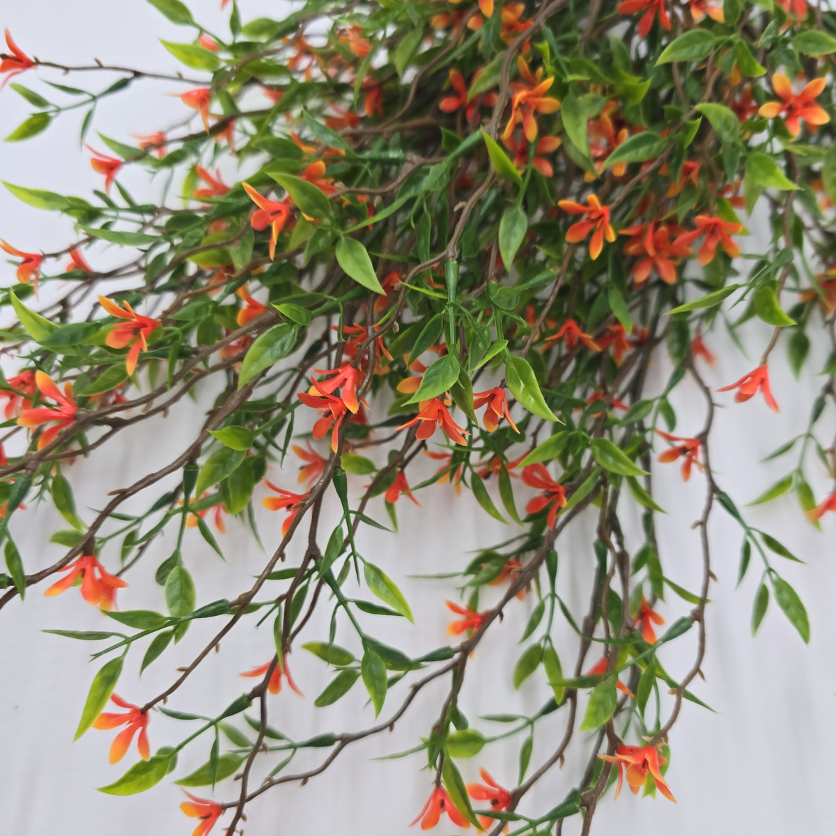 20&quot;Starflower Bush--#fbs130