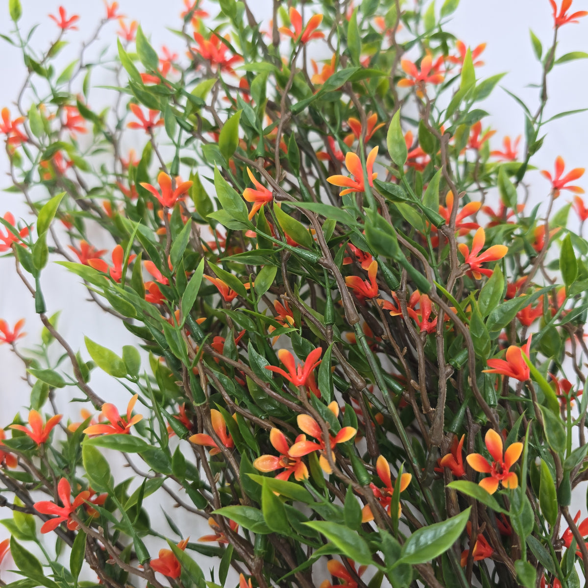 20&quot;Starflower Bush--#fbs130