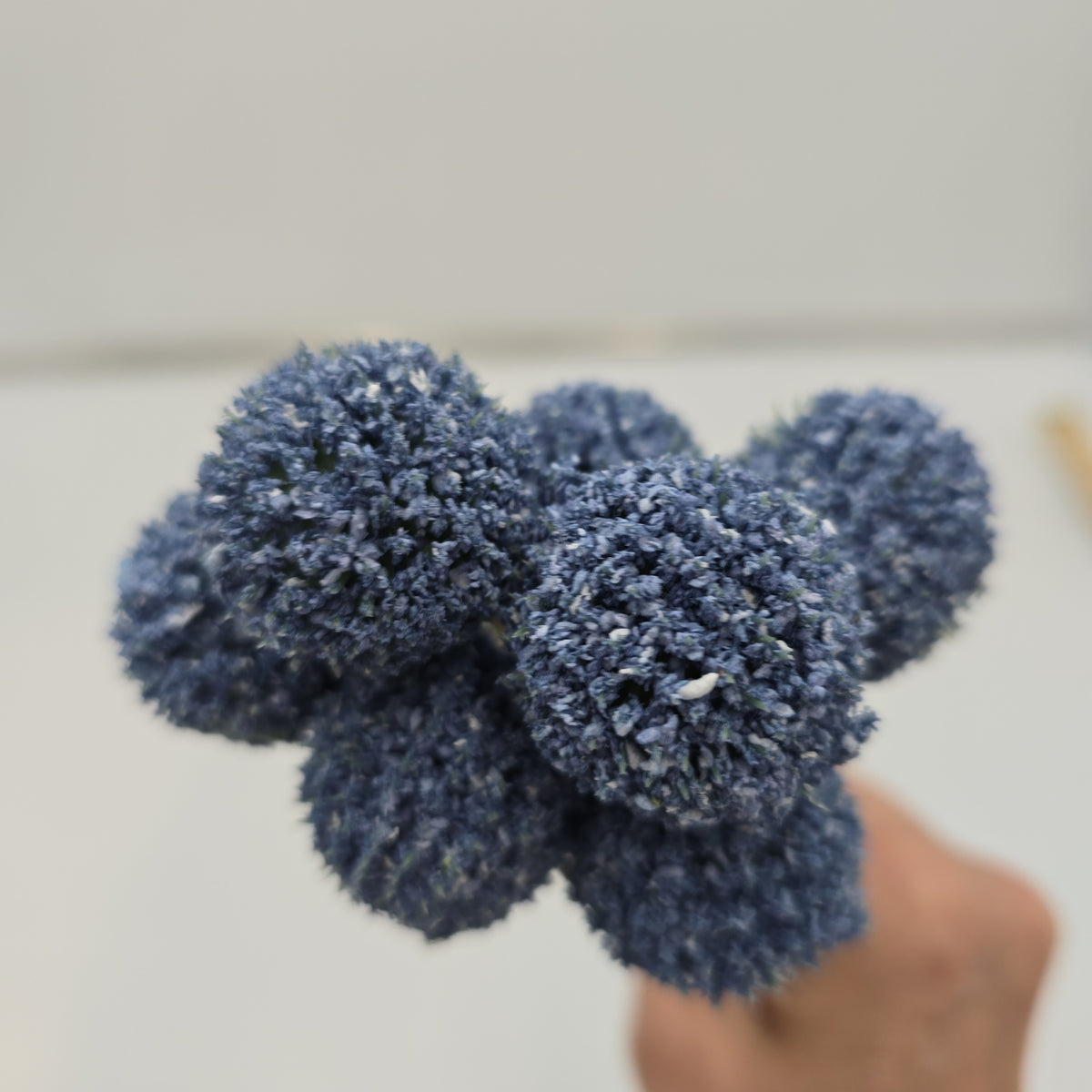 13&quot;BILLY BUTTON--FBL428