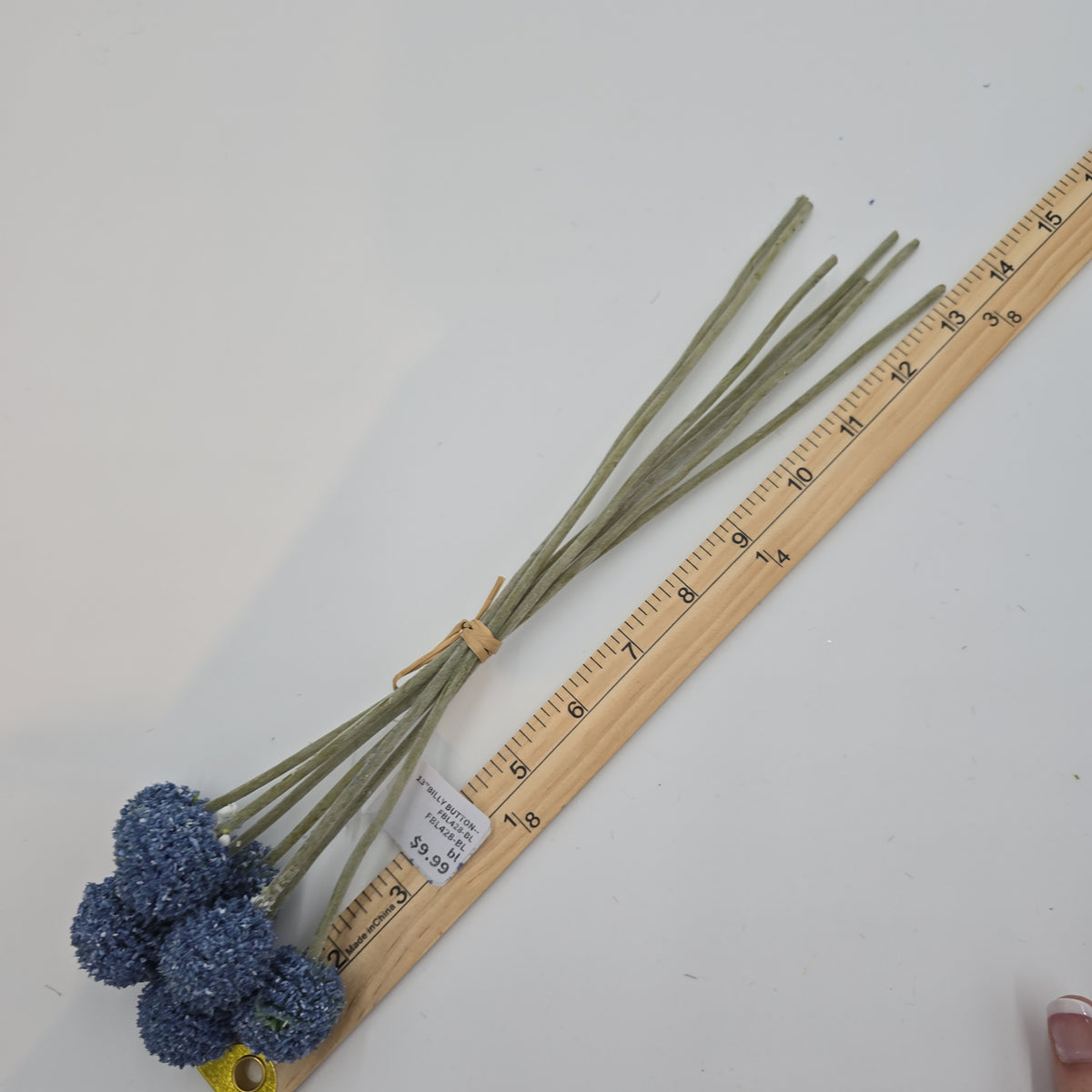 13&quot;BILLY BUTTON--FBL428