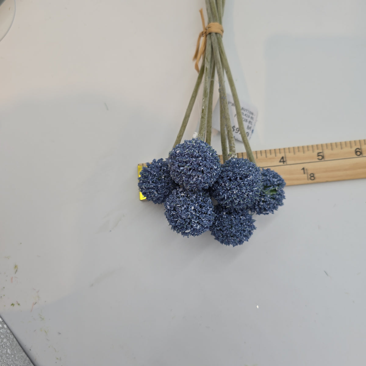 13&quot;BILLY BUTTON--FBL428