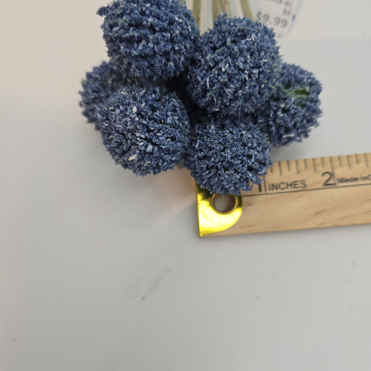 13&quot;BILLY BUTTON--FBL428