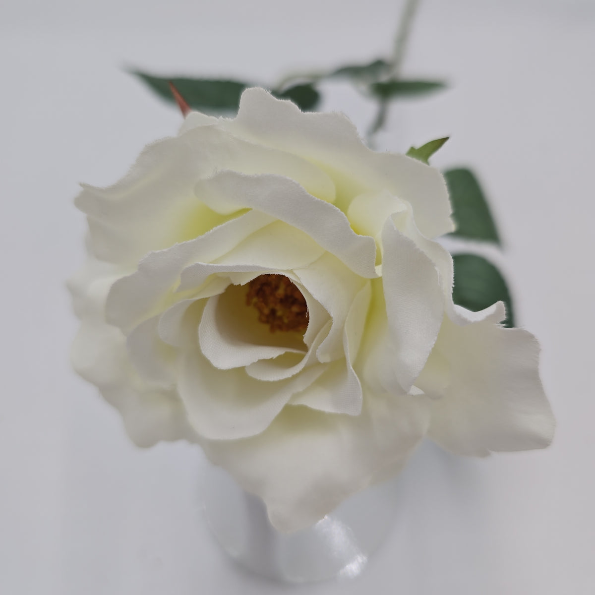 23&quot;MD ROSE--fr2007