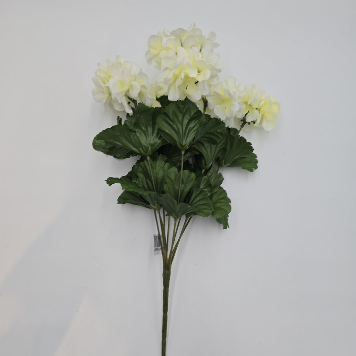 17&quot;GERANIUM BUSH--FBG514