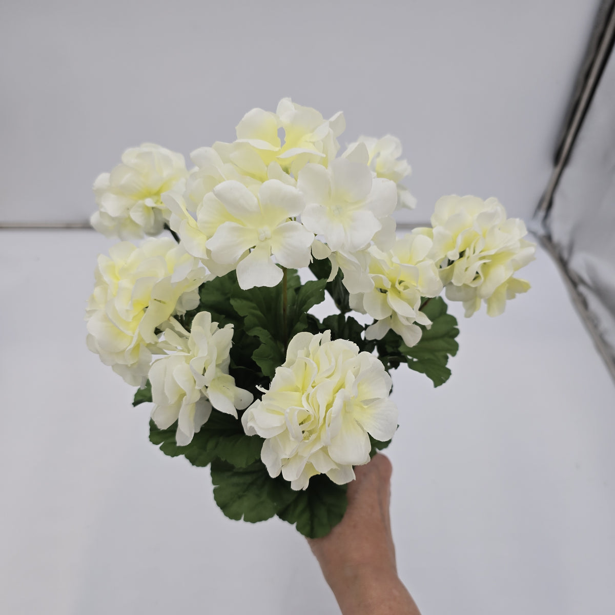 17&quot;GERANIUM BUSH--FBG514