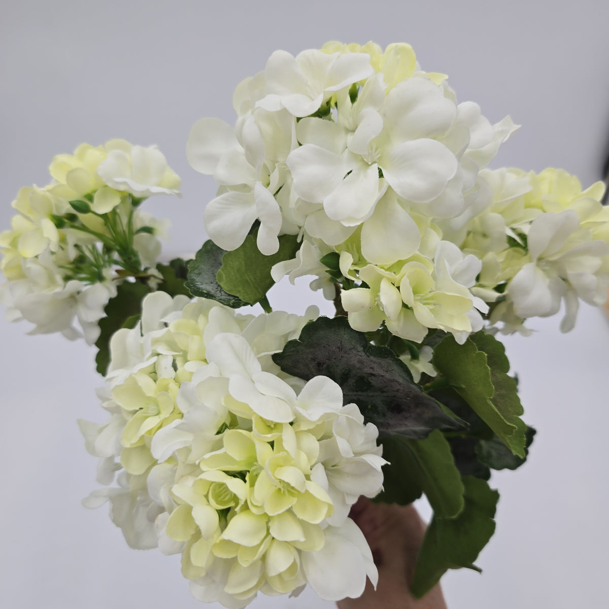 18&quot;UV GERANIUM BUSH-#fbg040