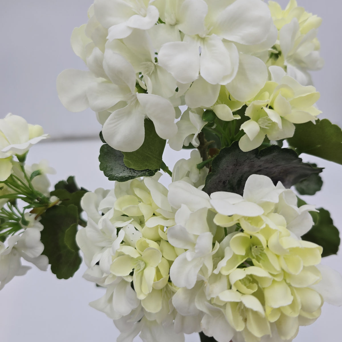 18&quot;UV GERANIUM BUSH-#fbg040